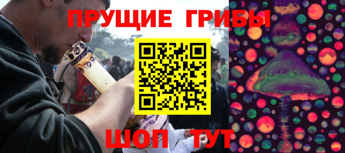 Галлюциногенные грибы Psilocybine cubensis Шахты
