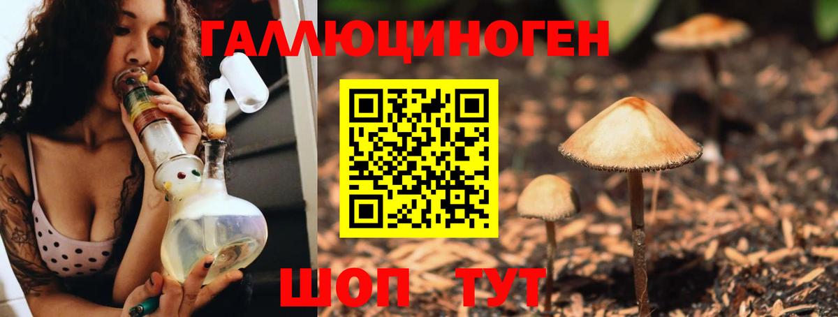 Галлюциногенные грибы прущие грибы  купить  цена  Шахты  Вход с VPN 